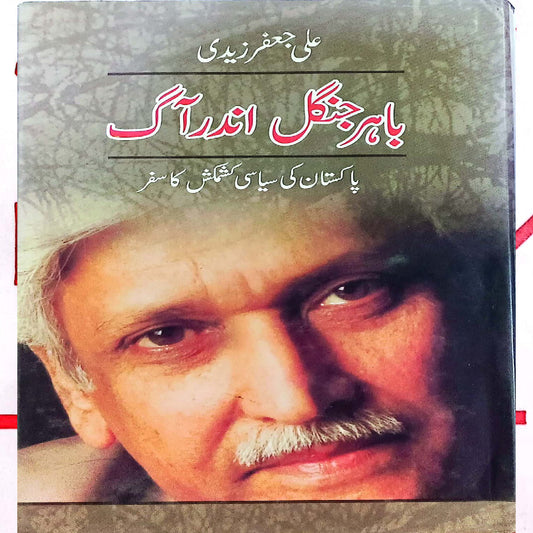 Bahir Jungle Andar Aagh by Ali Jafar Zaidi