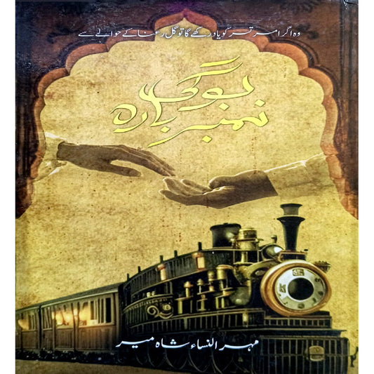Boghi Number 12 by Mehrulnisa Shahmeer