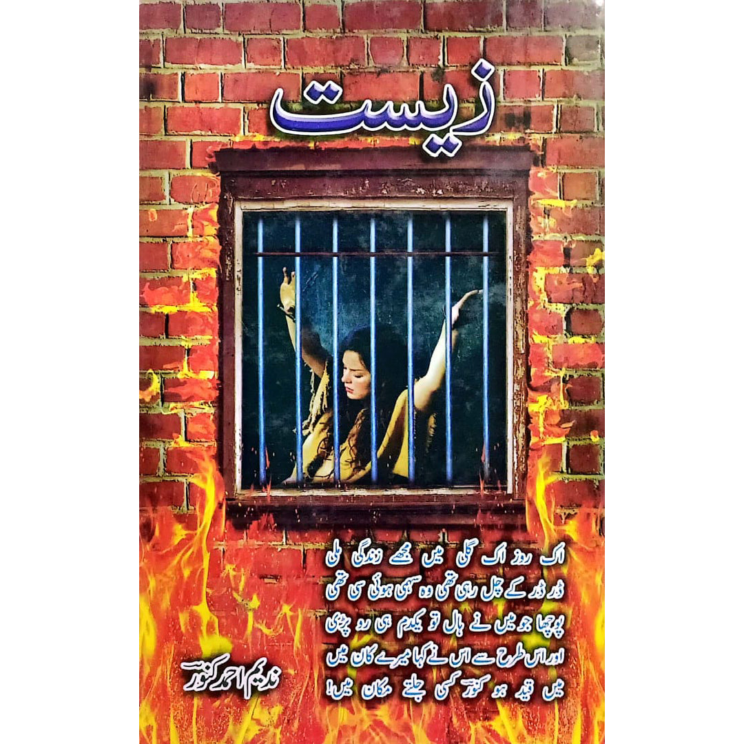 Zist by Nadeem Ahmad Kanoor