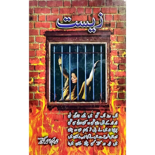 Zist by Nadeem Ahmad Kanoor