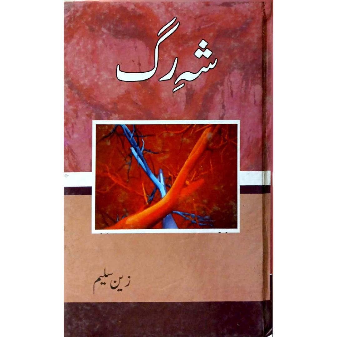 SHEH RAG by ZAIN SALEEM
