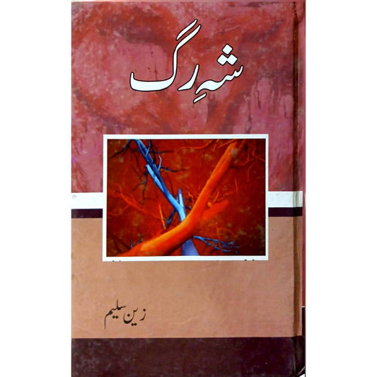 SHEH RAG by ZAIN SALEEM