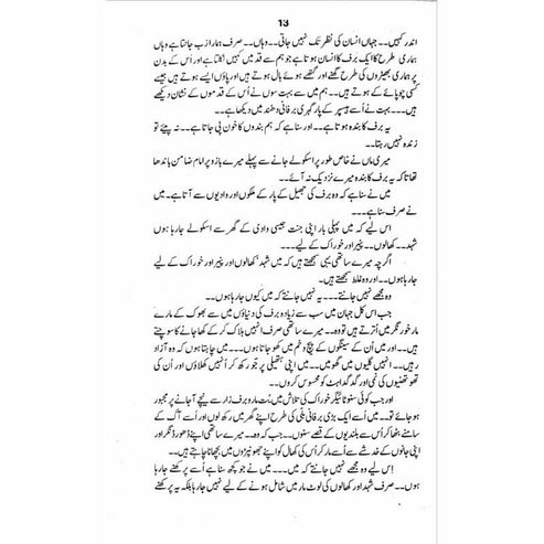 Snow Lake - Mustansar Hussain Tarar